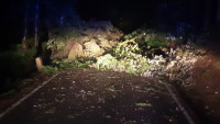 hasiči strom FWeOlzyWQAQViJP